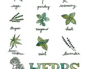 herbs - kitchen print - original illustration - giclee print