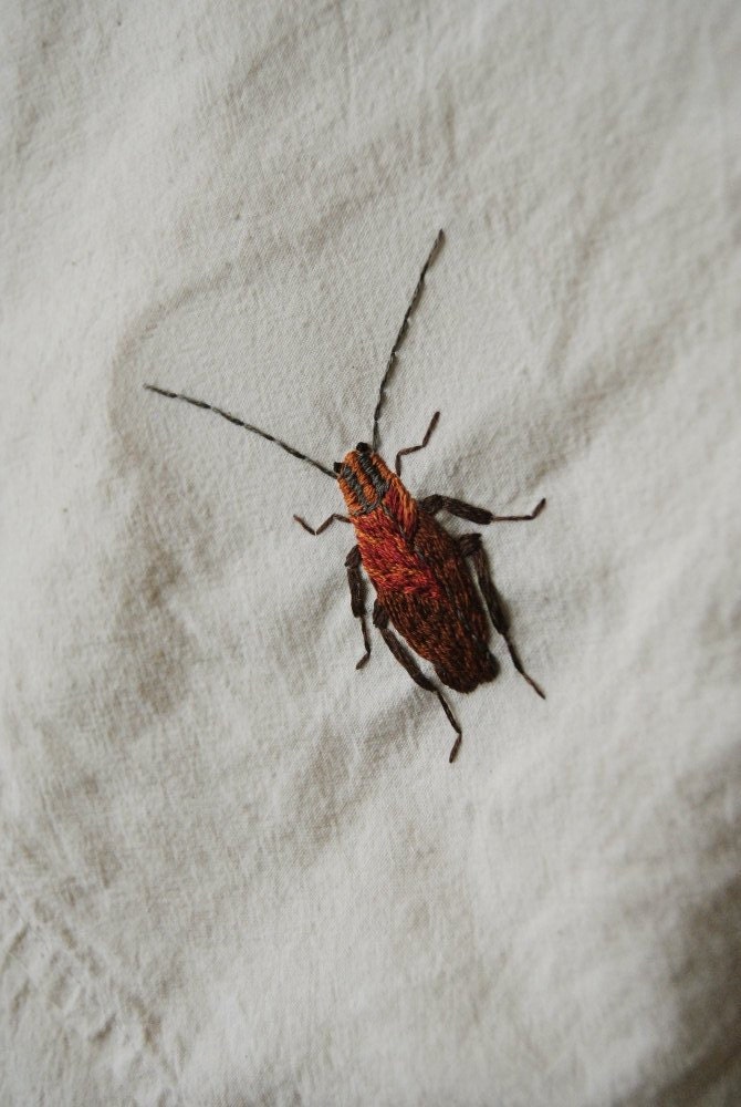 German Cockroach - Hand Embroidered Flour Sack Tea Towel - Kitchen Insect
