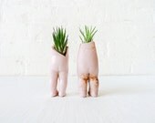 Jack & Jill TushieTwins - Antique German Bisque Doll Air Plant Garden