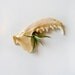 My lil Magnet - Mink Jaw Air Plant Garden