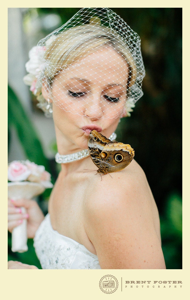 Sarahs Veil - The Perfect Birdcage Veil - Bride Bridal Blusher French Veil Fascinator clip.