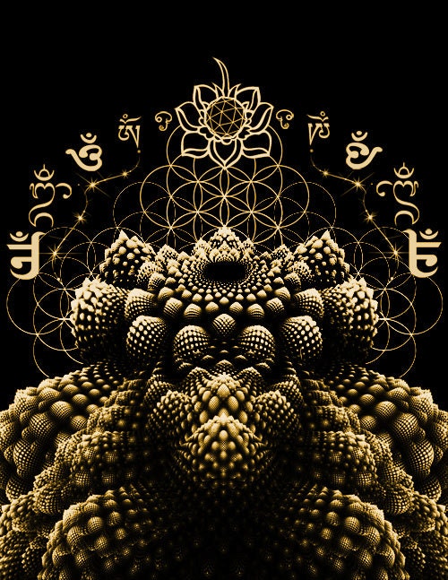 Sacred Geometry - Romanesca Fractal Fruit Men's T-shirt - OOAK Flower of Life