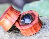 Rosewood Plugs / Gold Nuggets Eyes / Black, Gold & Red / Wood plugs / (1") (25mm)