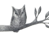 Owl art - 4x6 fine art print