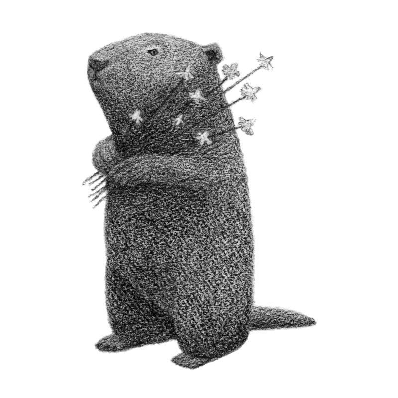 Woodchuck with Chamomile - 4x6 fine art print - Animal art