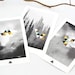 Strange and Bright - Set of 3 different cards 3.94 x 5.90 in (photography&digital illustration)