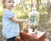 Contents Only - Butterfly Terrarium Kit, Real Butterfly Terrarium Kit