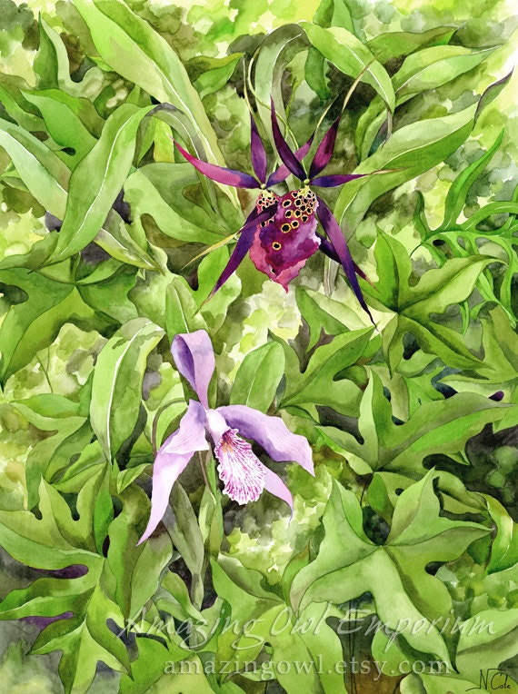 Orchids - 8x10" Giclee Art Print