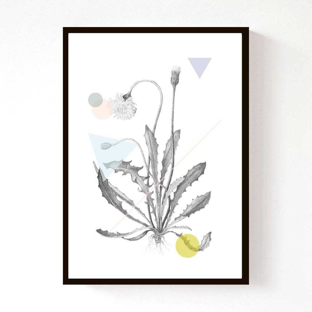 NEW - Hawksbit Geo - A4 Print