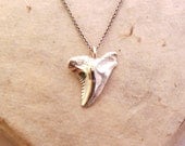 Silver Shark Tooth Necklace - Snaggletooth Shark (Pure Silver Pendant)