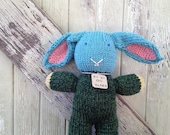 Sky Blue and Green Bunny Rabbit Hand Knit Stuffed Animal