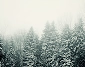 Ever Green - Pine Trees in Fog, Landscape Photography, Snow, Mist, Winter Photograph, Evergreen, Forest, Nature, Christmas Wall Decor