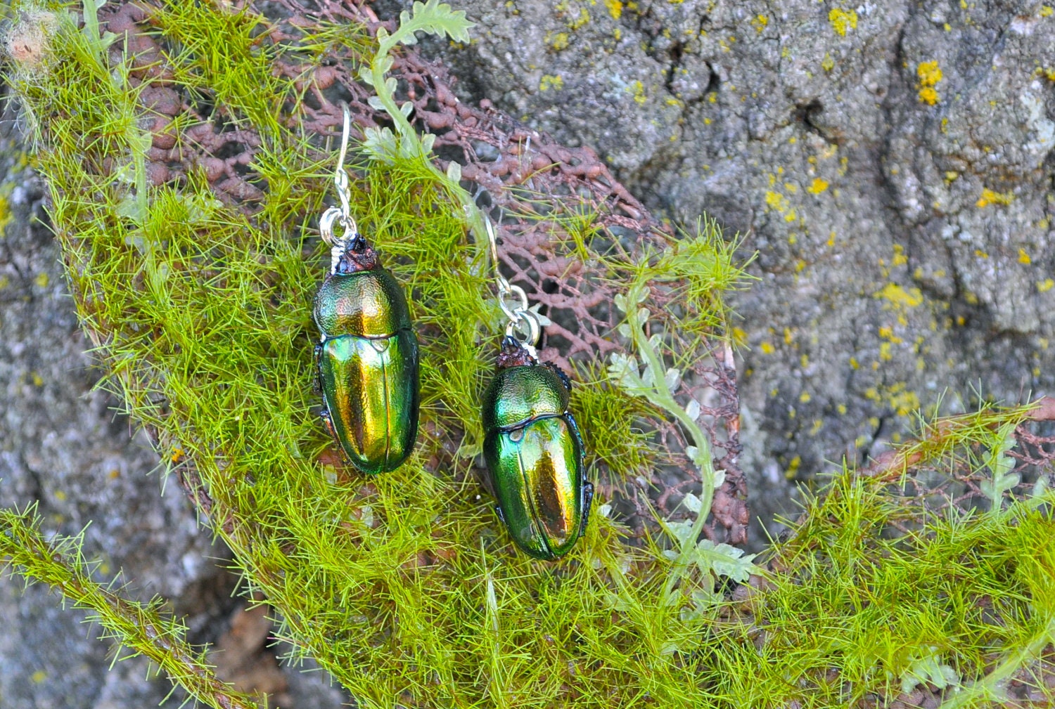 Floating Real Stag Beetle Earrings Green & Rust Moonrise Kingdom Movie