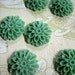 10 low profile 15mm mum cabochons, resin chrysanthemum cabs (seafoam green)