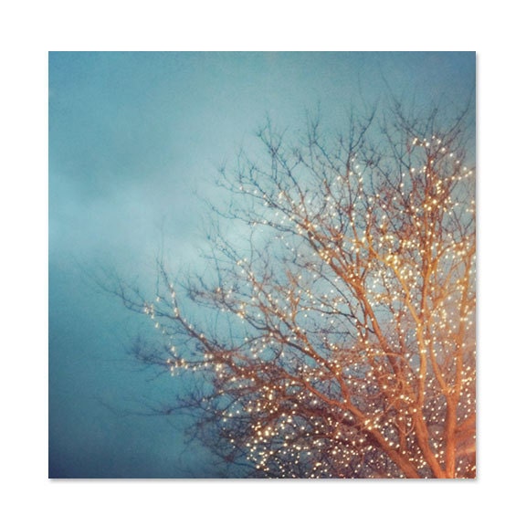 Fine Art Photo, December Lights, 5x5 Print, Christmas Tree Lights, Nature Photography, Holiday Scene, Bare Branches, Blue Sky