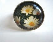 Daisy Ring - Polaroid Painting Ring