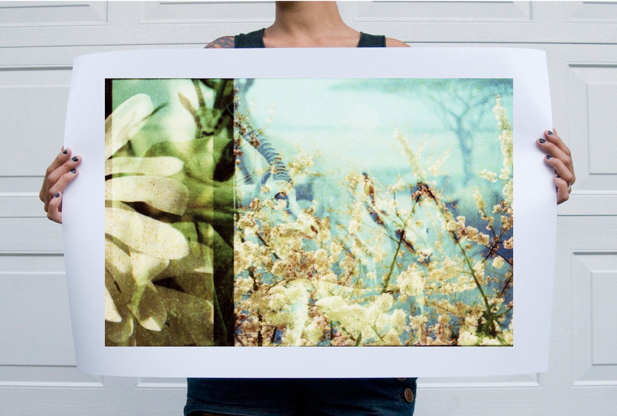 Gazelle . Flora and Fauna Series . 20x30 Print