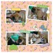 Digital Scrapbooking: Cute & Kawaii (130 embellishments -  kittens, puppies, owls, food, washi tape, girls, flowers)