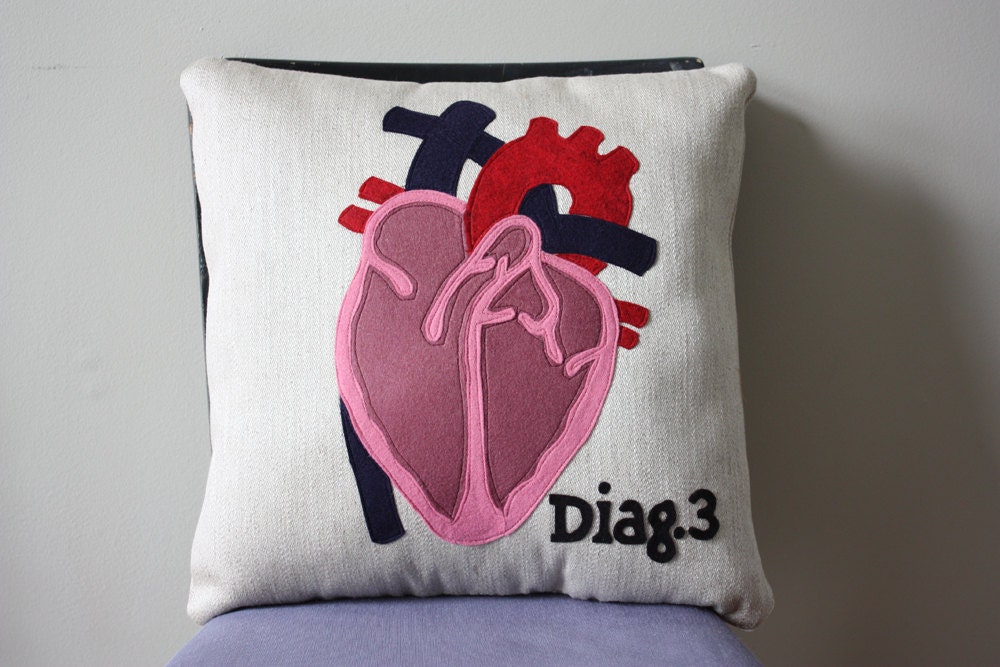 Science Diagram Pillow - Heart
