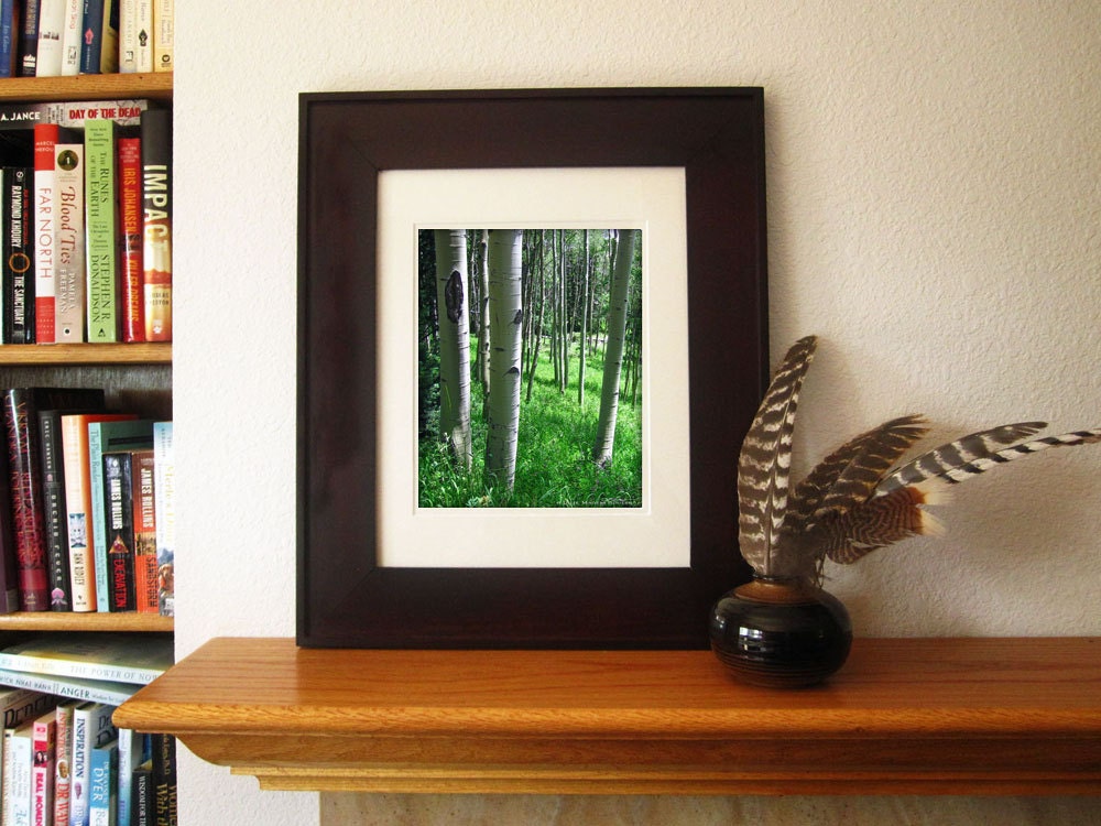 Tree Photography -Aspen -Forest Photography -11x14 Print -Home Decor Art -Colorado Fine Art Photography