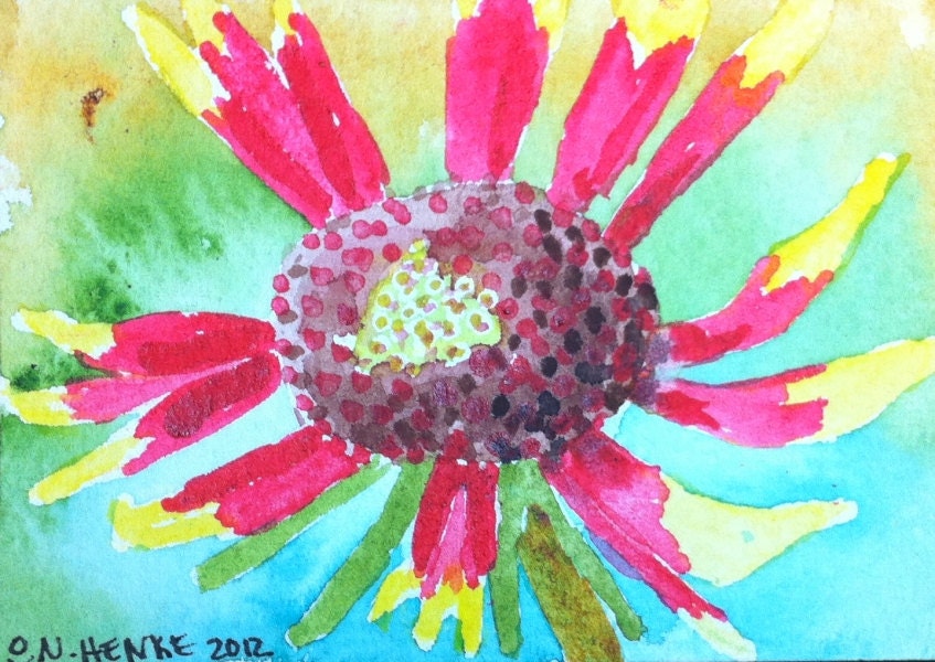 ACEO Scraggly Mexican Blanket Wildflower by Nan Henke Original Watercolor Painting