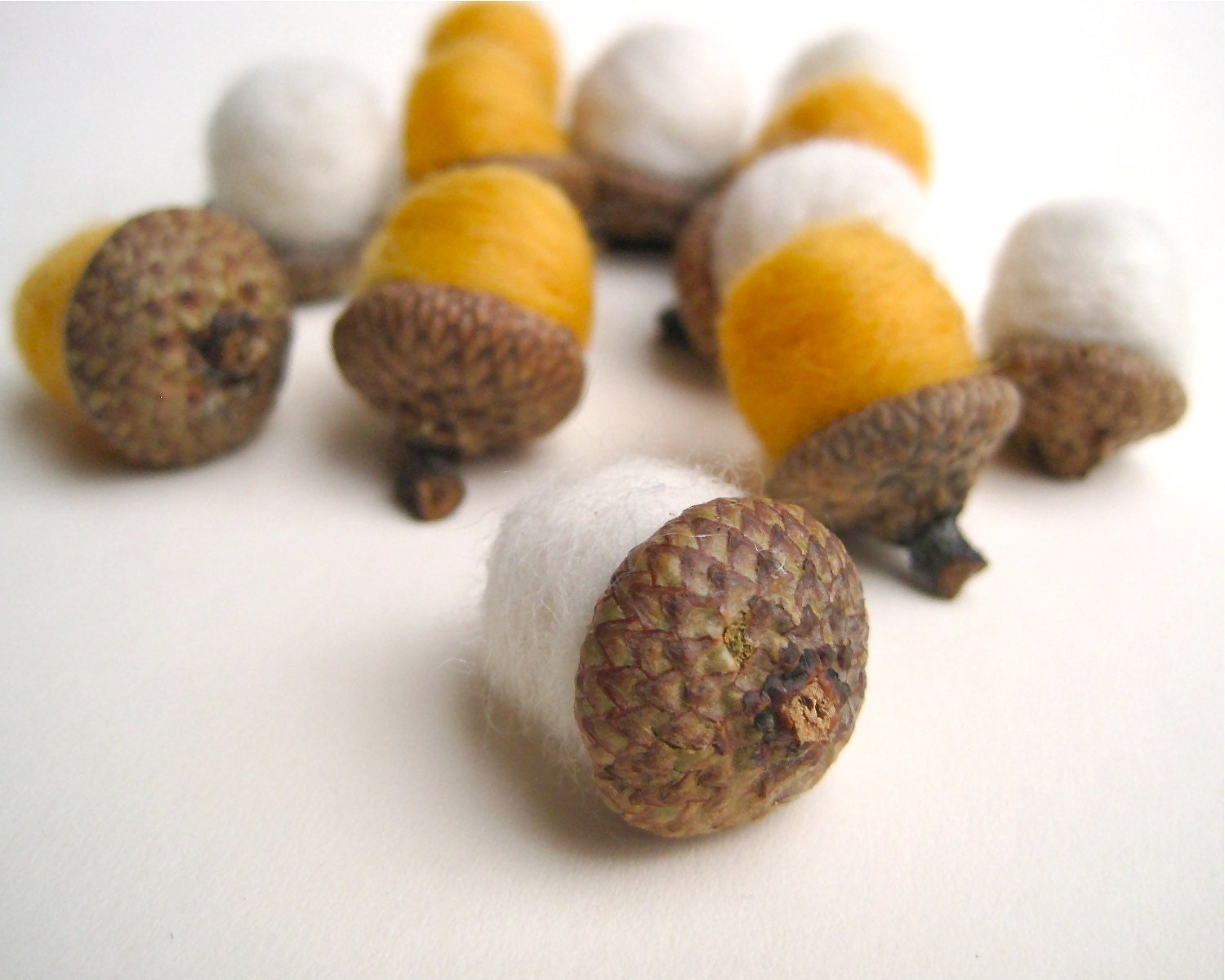 Birch Wool Acorns - Felted Acorns SET of 12 / White Gold Eco Friendly Rustic Home Decor for Autumn - Hostess Favours