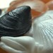 Seashell Soap - A Day At The Beach Glycerin Soap Shells
