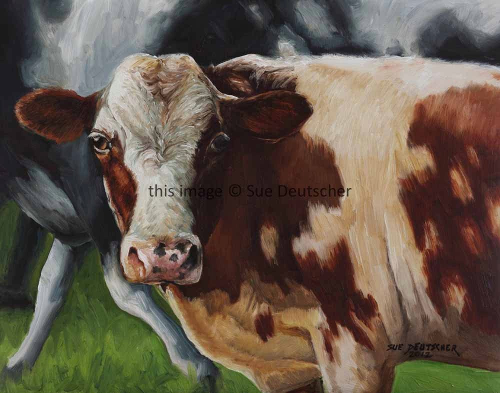 Cow Cattle Jersy art print 8x10 signed farm ranch dairy