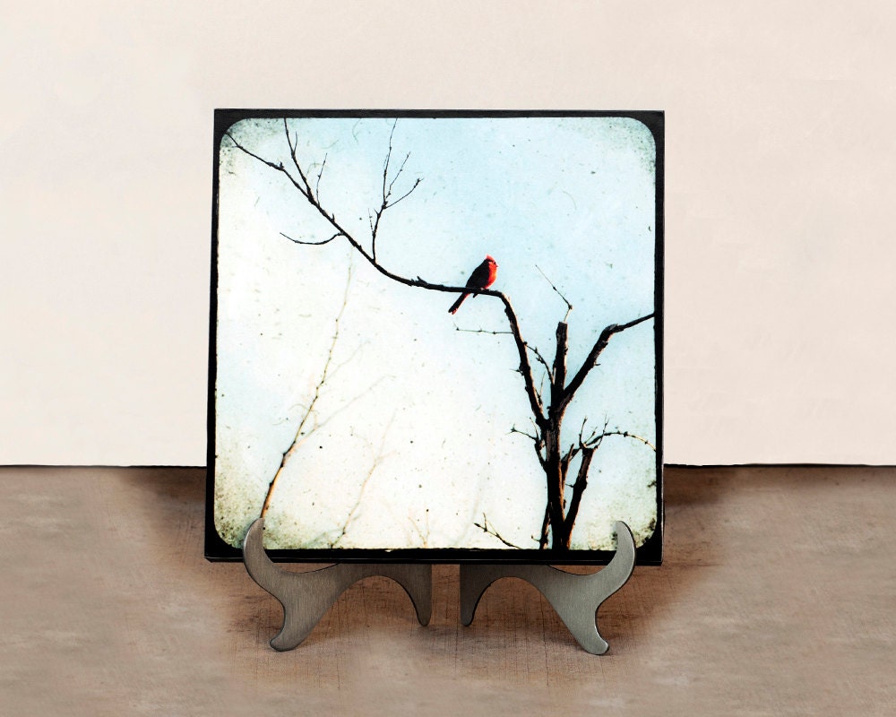 TTV Standout Photograph, Seen at the GBK Primetime Emmys Gift Lounge, Red Cardinal, Tree Branches, 10x10, Blue, Scarlet