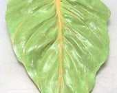 Touch Of Spring Hosta Leaf