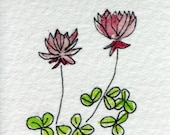 Little clover watercolor, mini, pink, plant, botanical, small art, matted, simple, minimalistic, pen and ink