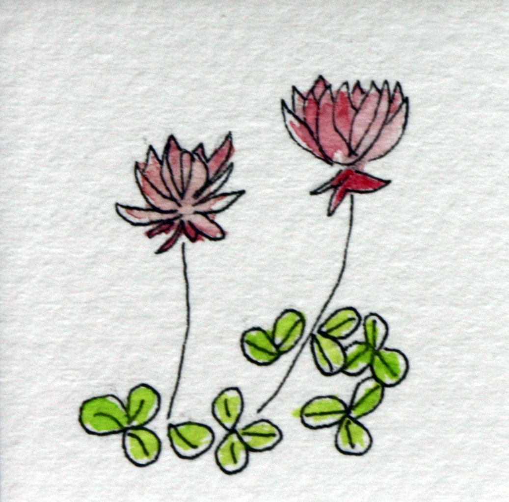 Little clover watercolor, mini, pink, plant, botanical, small art, matted, simple, minimalistic, pen and ink