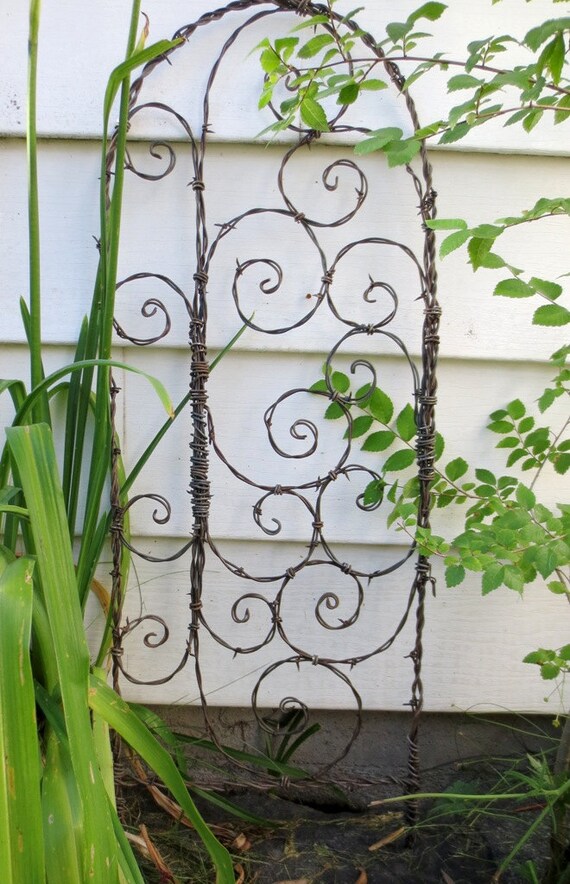 Spirals Galore Barbed Wire Spirilian Trellis
