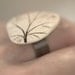 Reveal - An earthy porcelain ring with impression of a Coral Bell leaf.