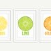 Lemon Lime Orange Kitchen Art - 3 Citrus Prints with Vintage Style - 5x7 Digital Illustration Print