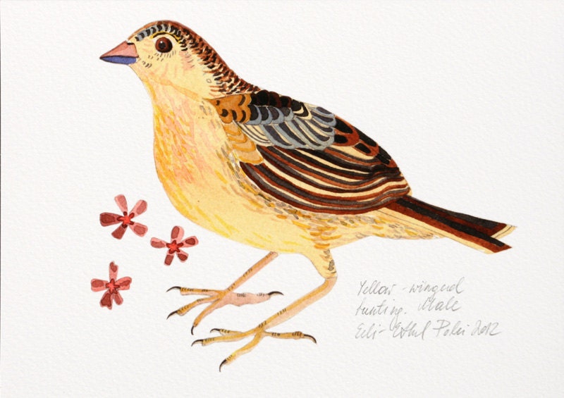 bird print watercolor art illustration giclee drawing yellow brown bunting gift