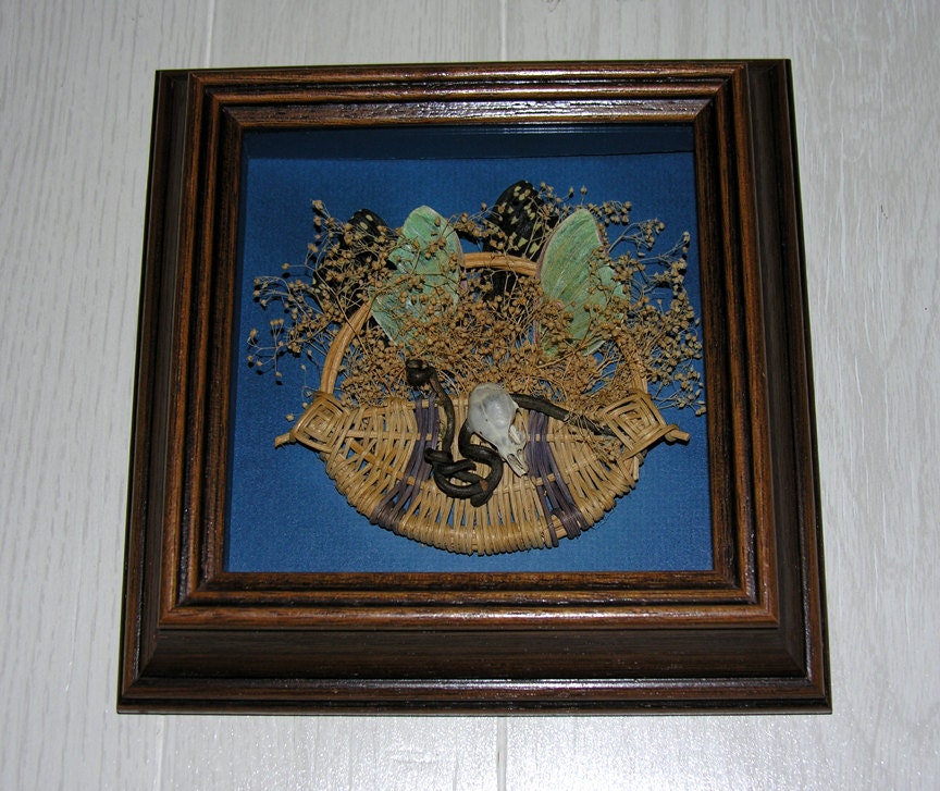 Circle of Life: Framed Mixed Media Wall Hanging with Rodent Skull, Dried Flowers and Insect Wings