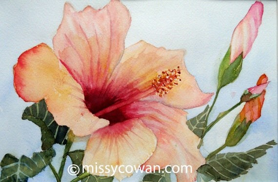 PEACH MELBA HIBISCUS - Original  Watercolor Painting