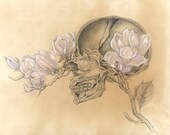 SALE YOUR CHOICE of 3 Limited Edition "Human Nature" Anatomy Series 8x10 Lustre Print Signed and Numbered