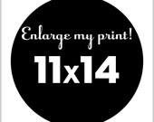 make any 8x10 an 11x14