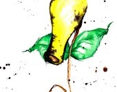 Bellsprout - Matte Print - 8"x11"