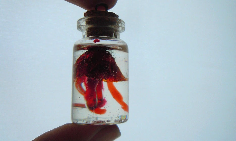 Huge dark red jellyfish