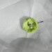 Lime Green Flower Candy Center Bobby Pin Set black friday cyber monday