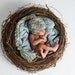 Newborn Bird Nest Photo Prop-Sweet Little Birdie Nest Baby Newborn Photo Prop