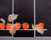 Large Vintage Lithograph by Pierre Garcia-Fons