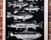 Fresh Water Fish Print Black