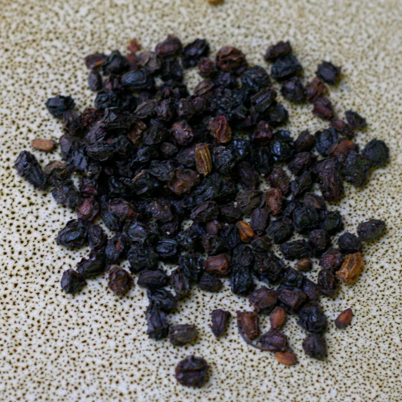 Organic Elderberries (Sambucus nigra) 2 oz.