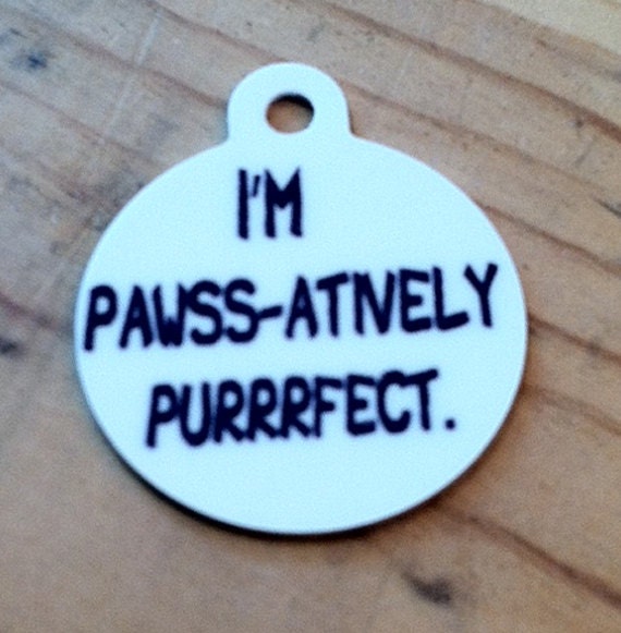 Pawss-atively Purrfect Pet Tag