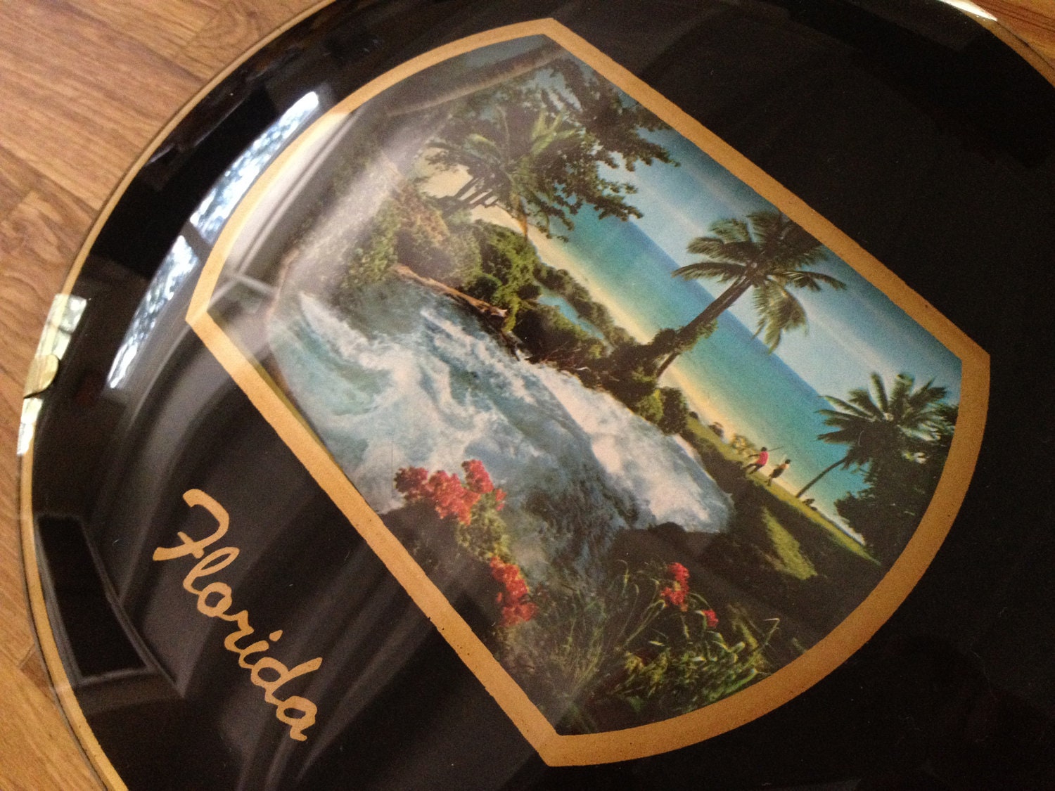 Five dollar Shipping - Unique Florida Convex Bubble Plastic Frame with Jamaica Postcard Wall Hanging