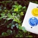 Working Arcade Light Switch